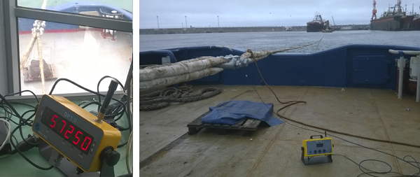 Dinamómetro Electrónico AHS-1 M