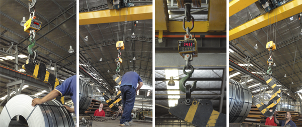 Dinamómetro Electronico AHS-1