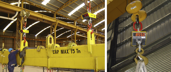 Dinamómetro Electrónico AHS-DIN