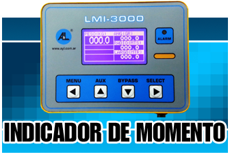 Indicador de momento de carga LMI-3000